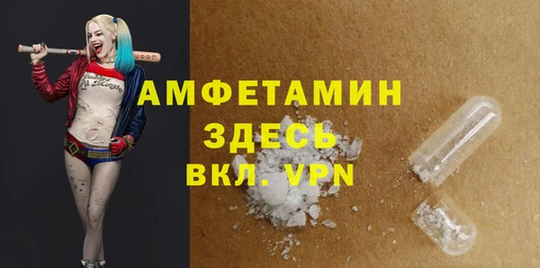 стафф Аркадак