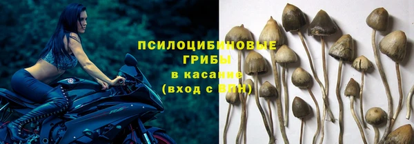 бошки Семикаракорск