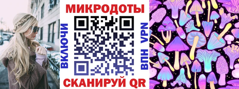 Галлюциногенные грибы Psilocybine cubensis  Лысково 